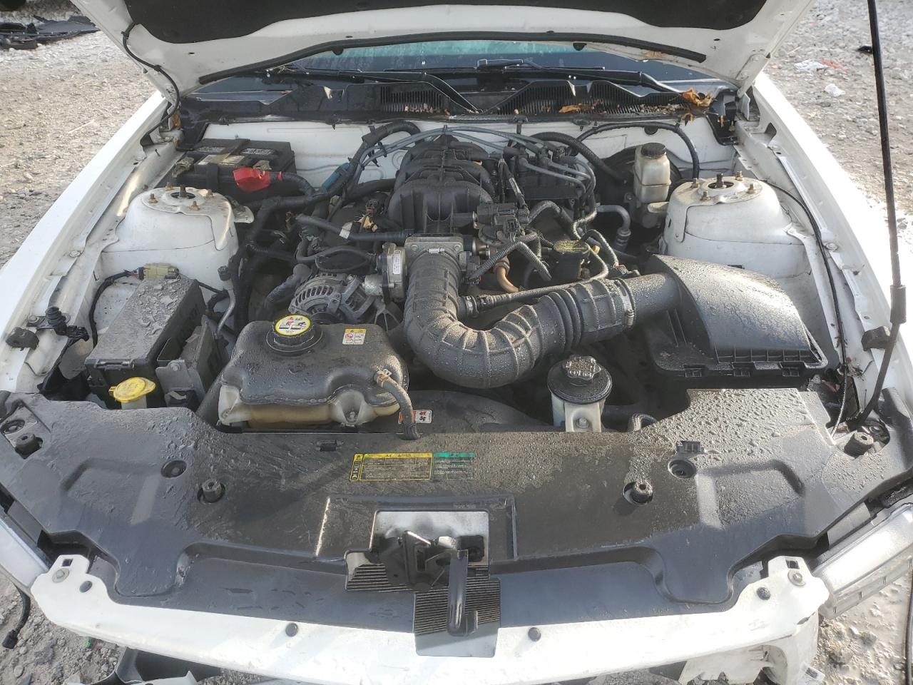 2010 Ford Mustang VIN: 1ZVBP8AN2A5120493 Lot: 90410315