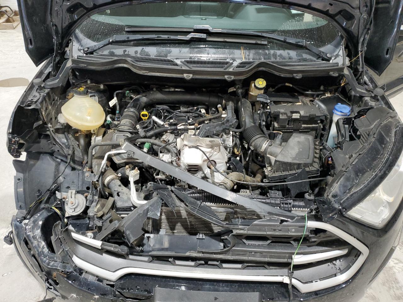 2019 Ford Ecosport Se VIN: MAJ3S2GE1KC277817 Lot: 90577185