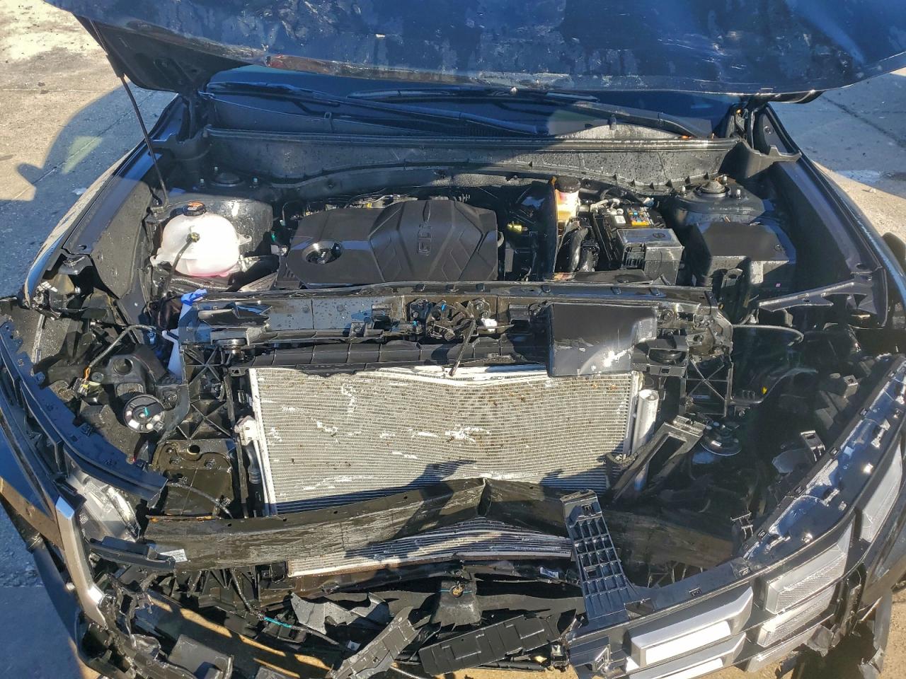 2025 Hyundai Santa Cruz Sel Activity VIN: 5NTJC4DE8SH129426 Lot: 93541835