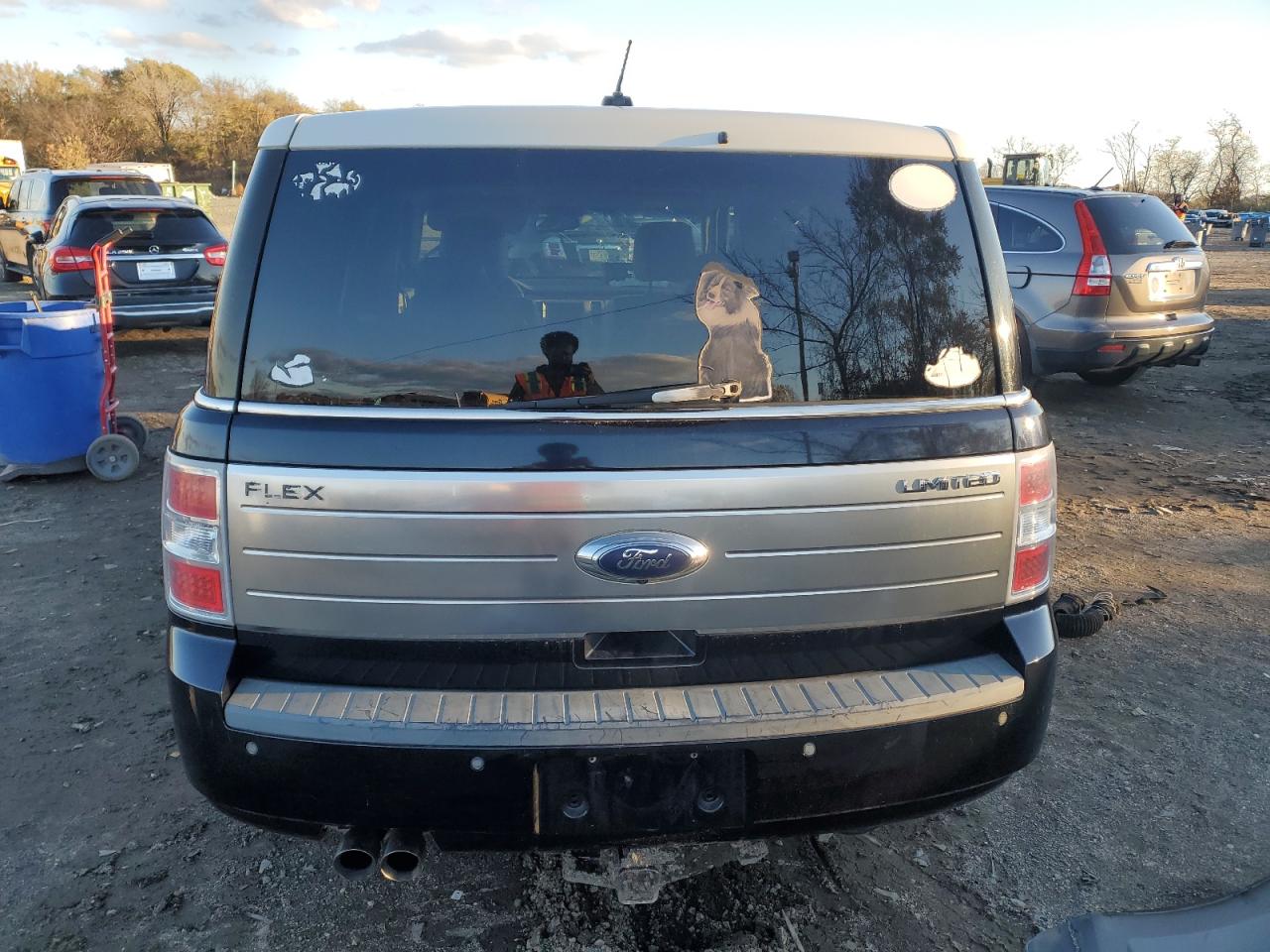 2010 Ford Flex Limited VIN: 2FMGK5DC1ABA46457 Lot: 91670195
