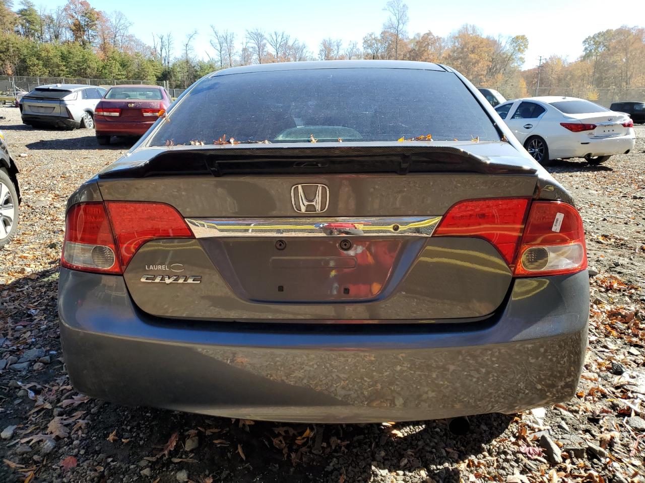 2010 Honda Civic Lx VIN: 2HGFA1F57AH325744 Lot: 91611075