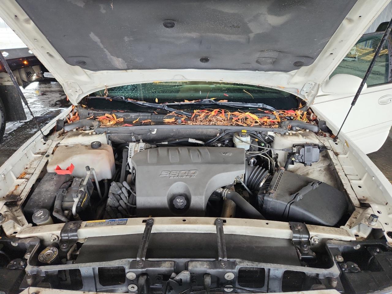 2004 Buick Lesabre Custom VIN: 1G4HP52K244109399 Lot: 92919405