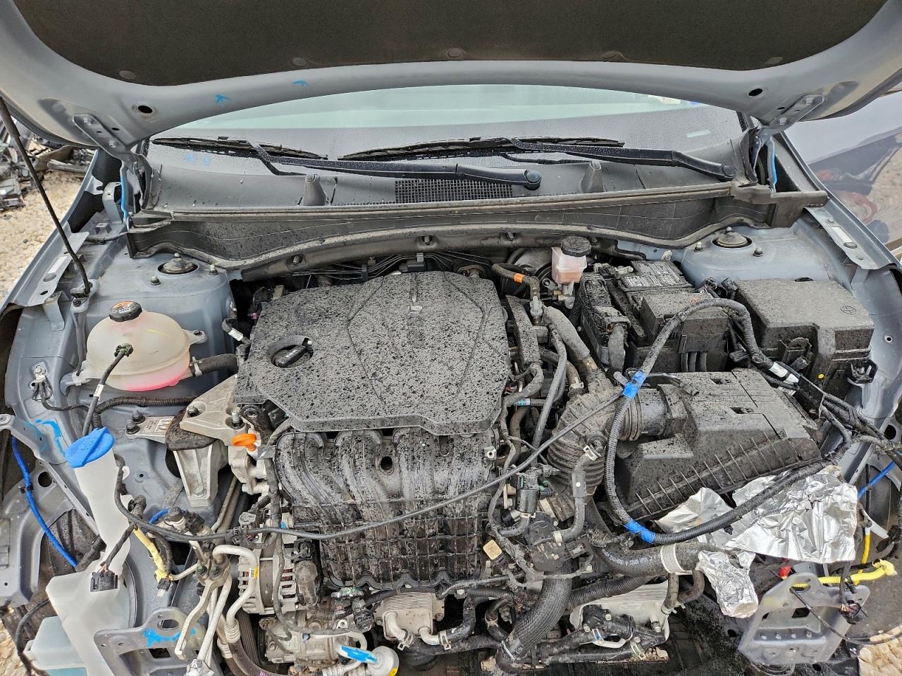 2023 Kia Sportage Ex VIN: 5XYK33AF1PG075251 Lot: 92654695