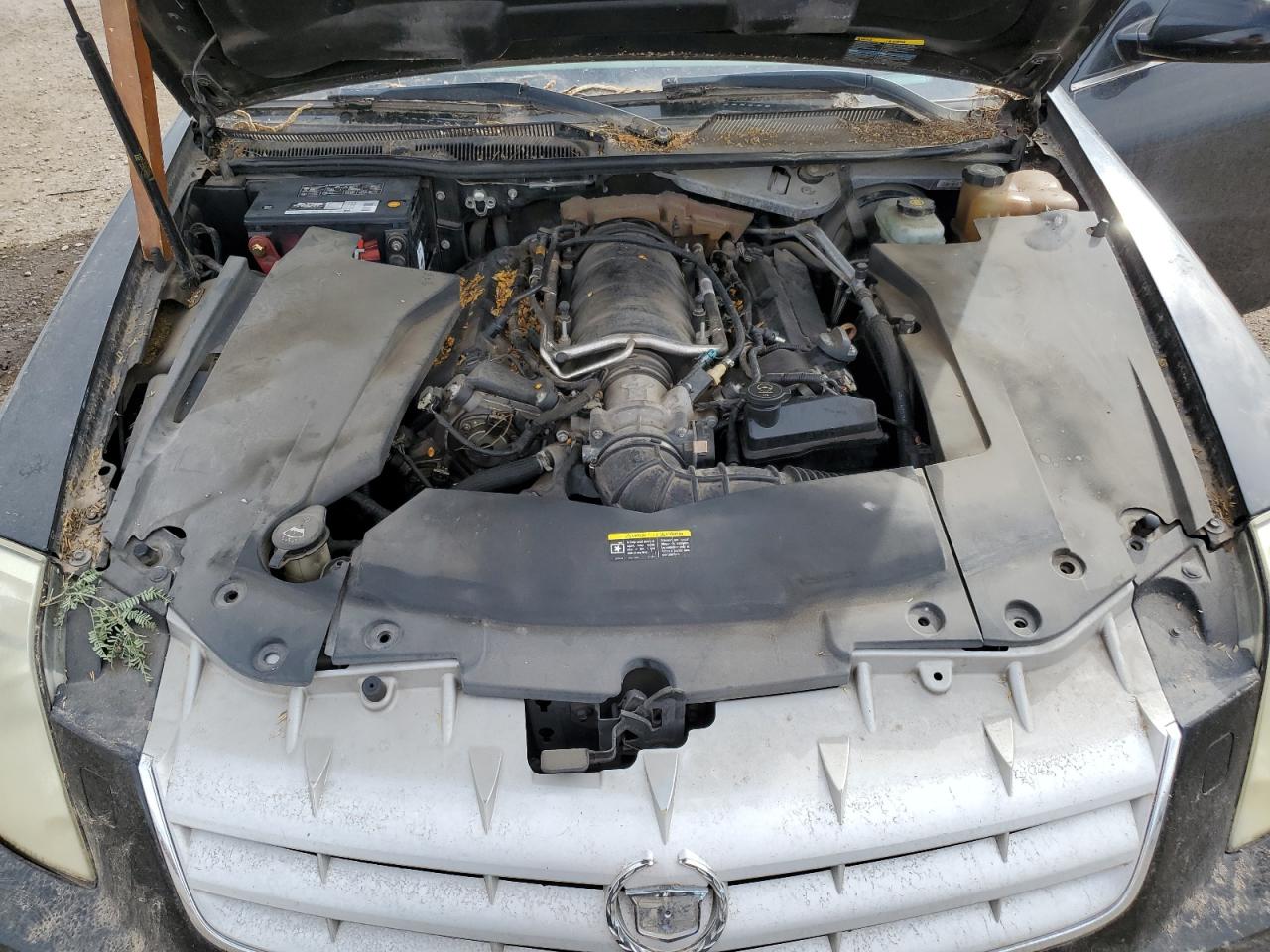 2007 Cadillac Sts VIN: 1G6DC67A170180743 Lot: 93911125