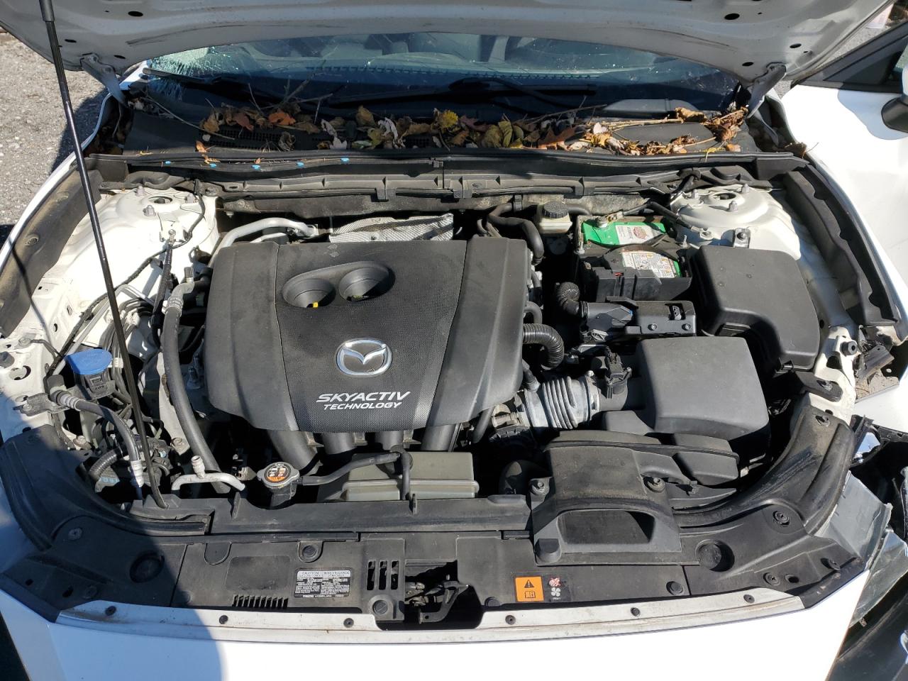 2016 Mazda 3 Sport VIN: 3MZBM1T75GM256165 Lot: 92585505