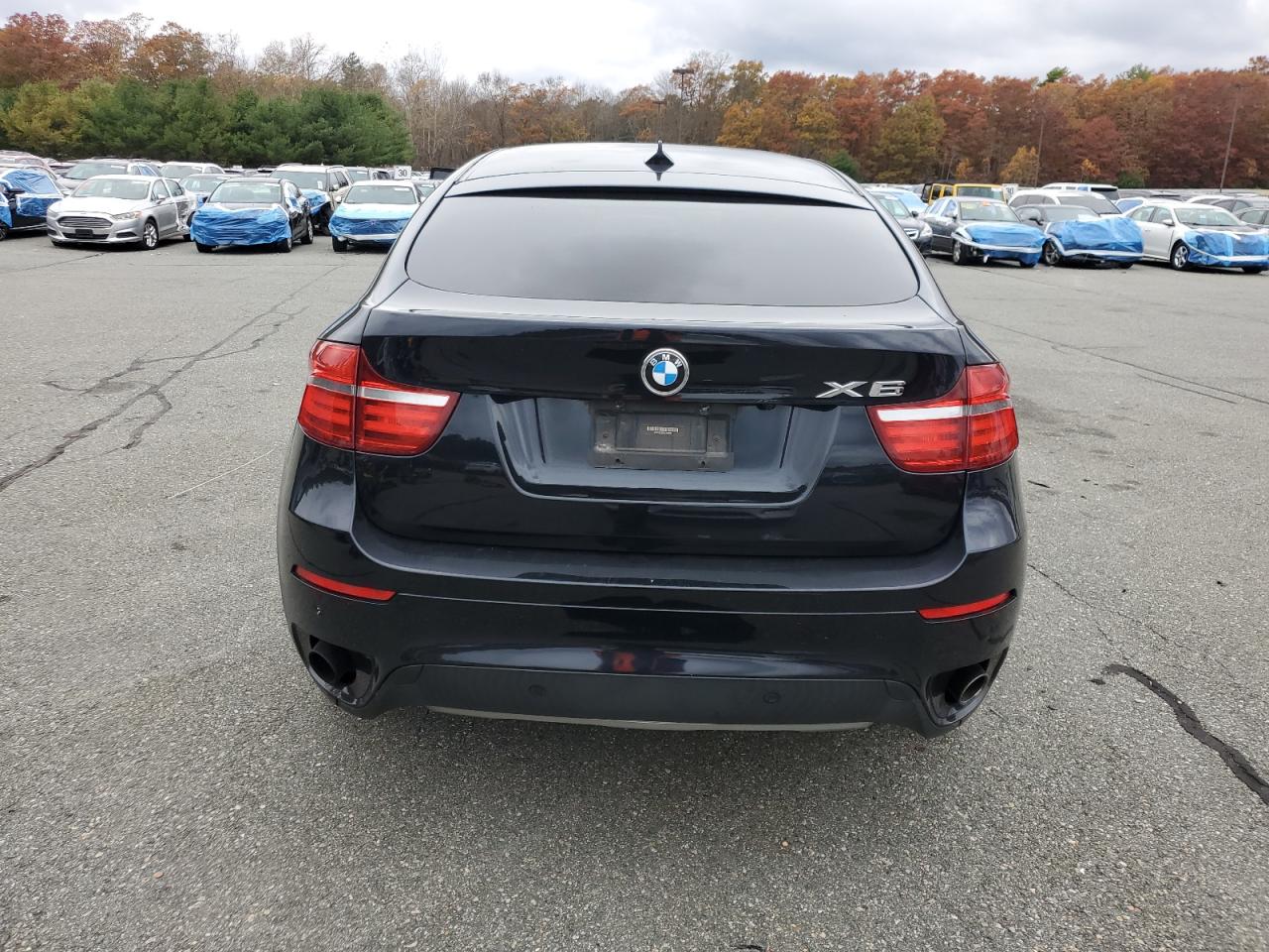 2013 BMW X6 xDrive35I VIN: 5UXFG2C56DL785992 Lot: 90781735