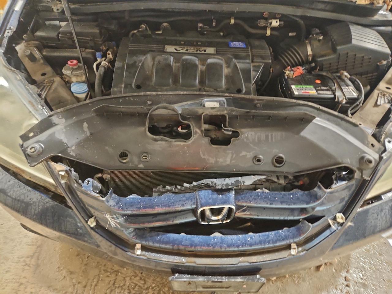 2009 Honda Odyssey Exl VIN: 5FNRL38609B004475 Lot: 94434355