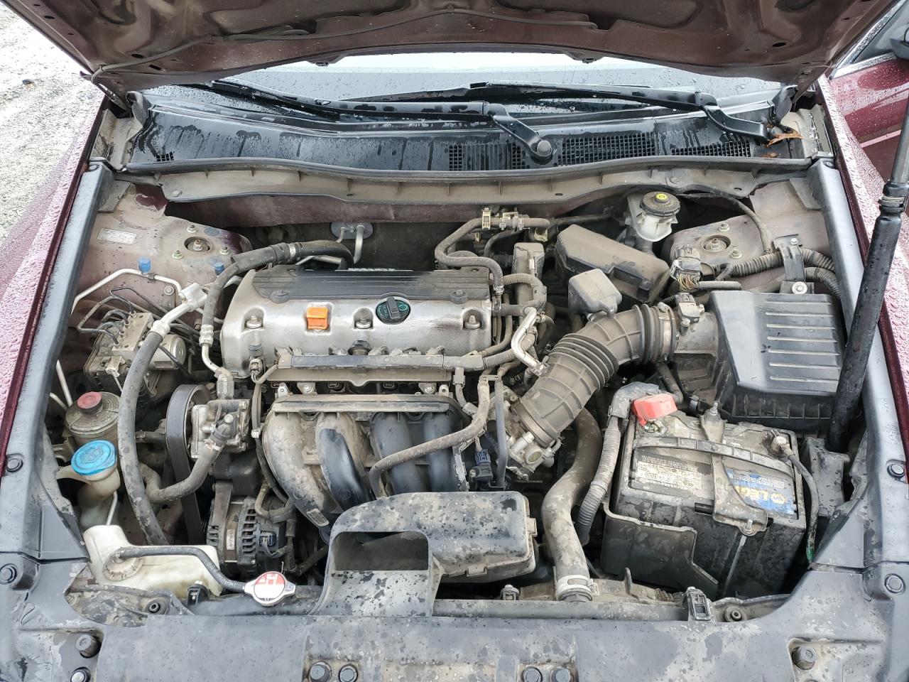 2010 Honda Accord Lxp VIN: 1HGCP2F4XAA146840 Lot: 93775635