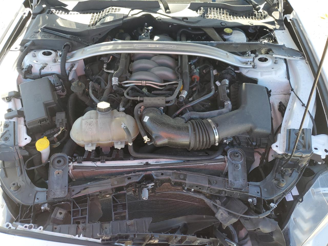 2019 Ford Mustang Gt VIN: 1FA6P8CF4K5103681 Lot: 92417025