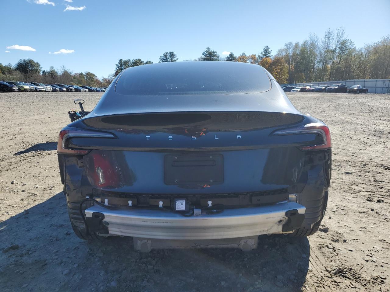 2024 Tesla Model 3 VIN: 5YJ3E1EA5RF734413 Lot: 90727225