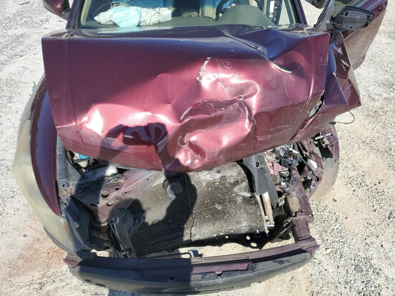 2010 Honda Accord Exl VIN: 1HGCP2F80AA196164 Lot: 91977945