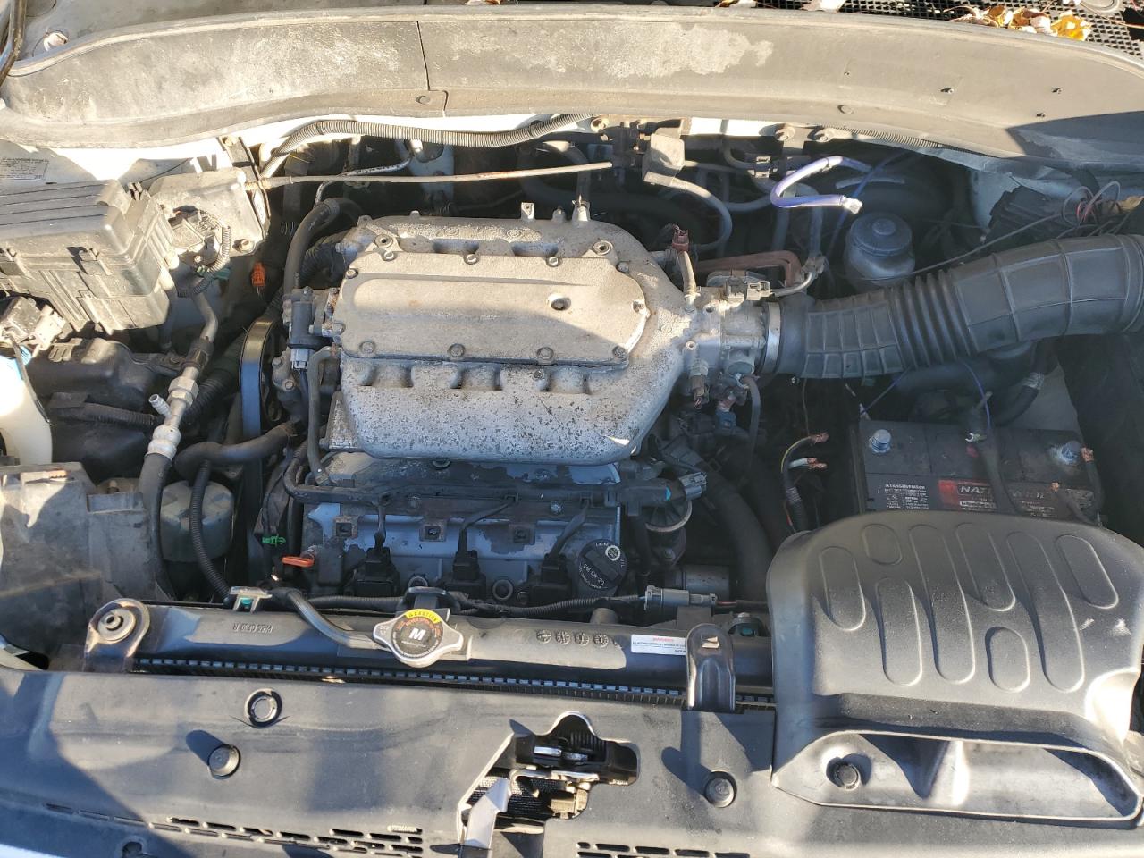 2008 Honda Ridgeline Rtl VIN: 2HJYK16508H538383 Lot: 92379255