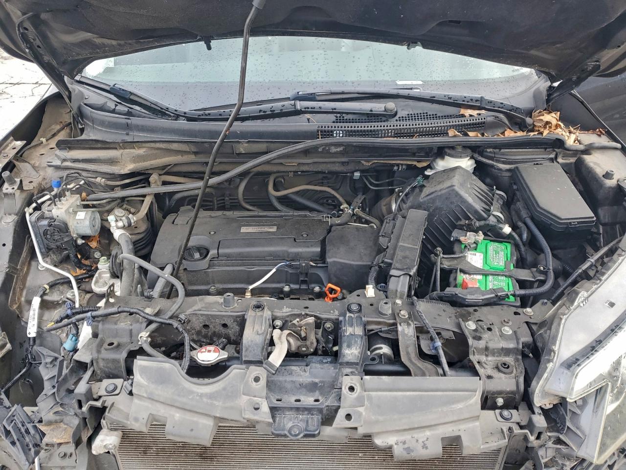 2016 Honda Cr-V Exl VIN: 5J6RM4H71GL132157 Lot: 93636625