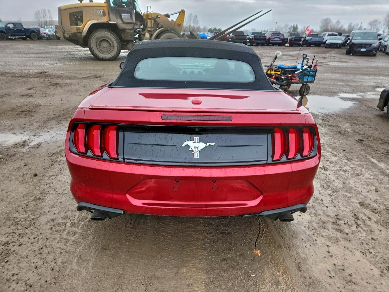 2021 Ford Mustang VIN: 1FATP8UH0M5125540 Lot: 91171705