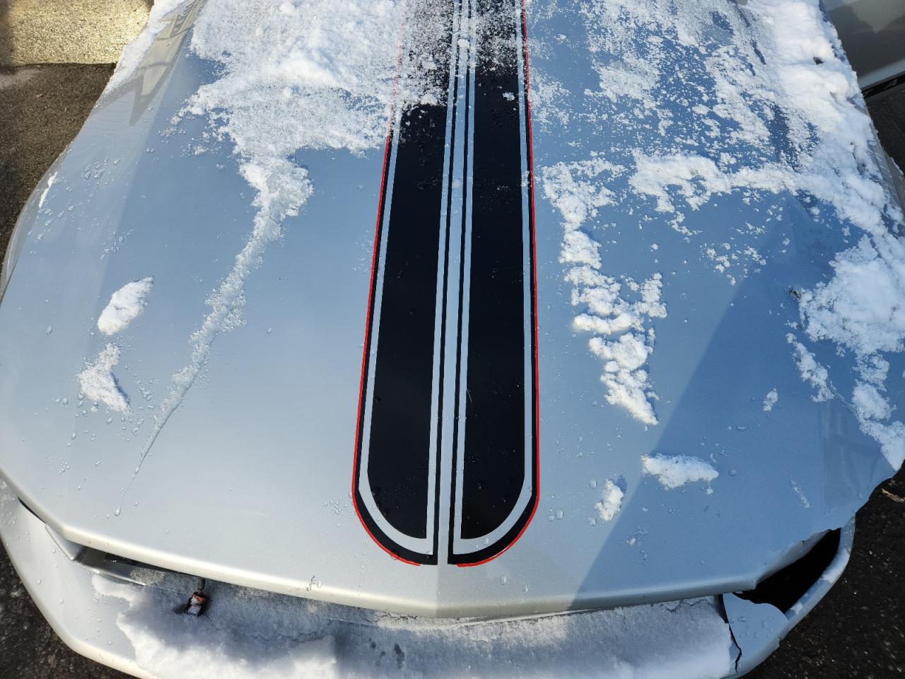 2006 Ford Mustang VIN: 1ZVFT80N565183531 Lot: 91849545