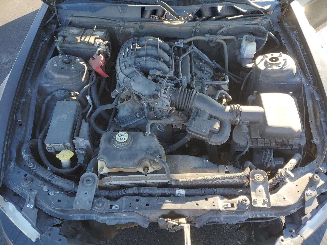 2012 Ford Mustang VIN: 1ZVBP8AM7C5228201 Lot: 90864525