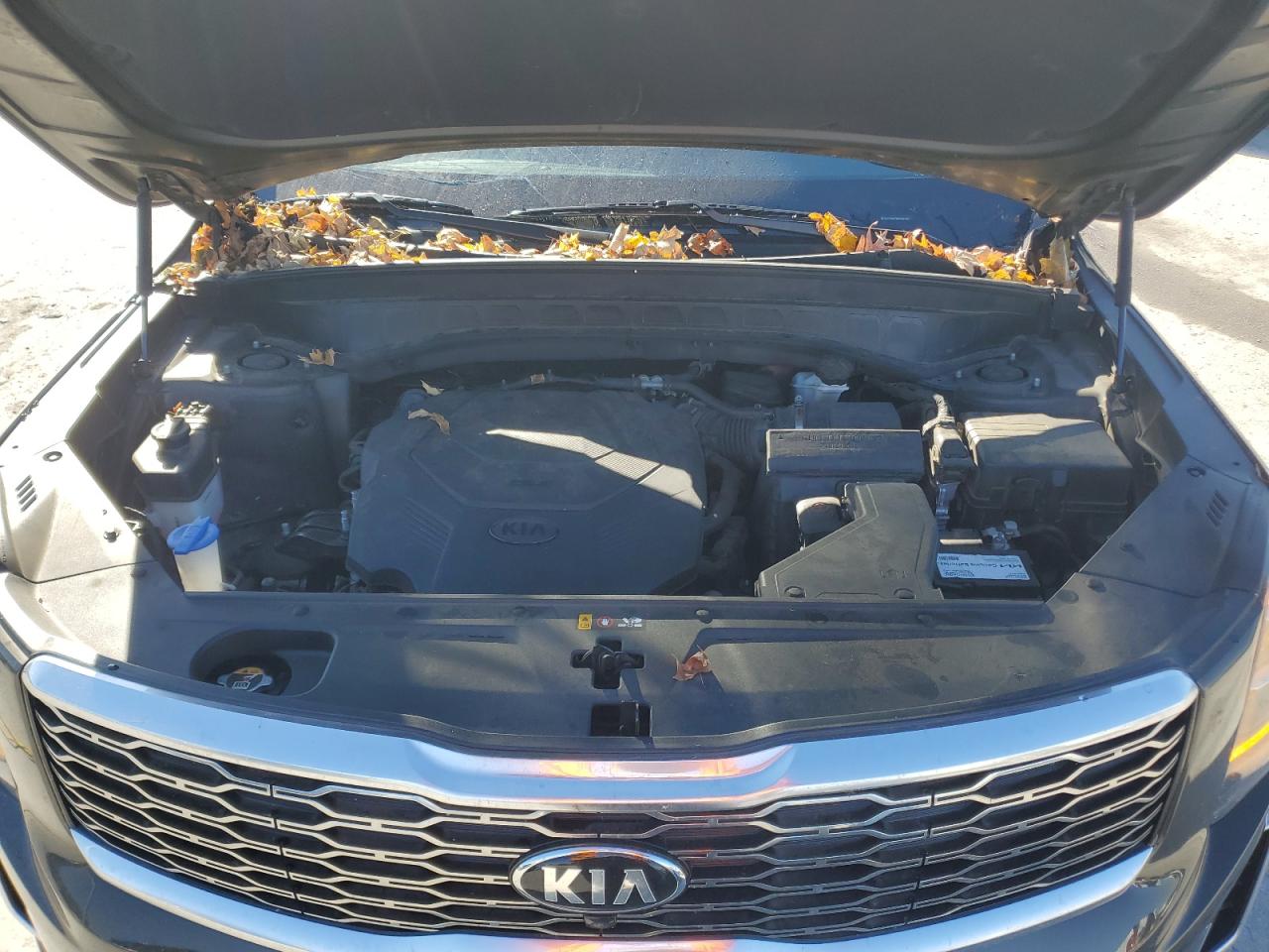 2021 Kia Telluride Sx VIN: 5XYP54HC8MG134194 Lot: 92348155