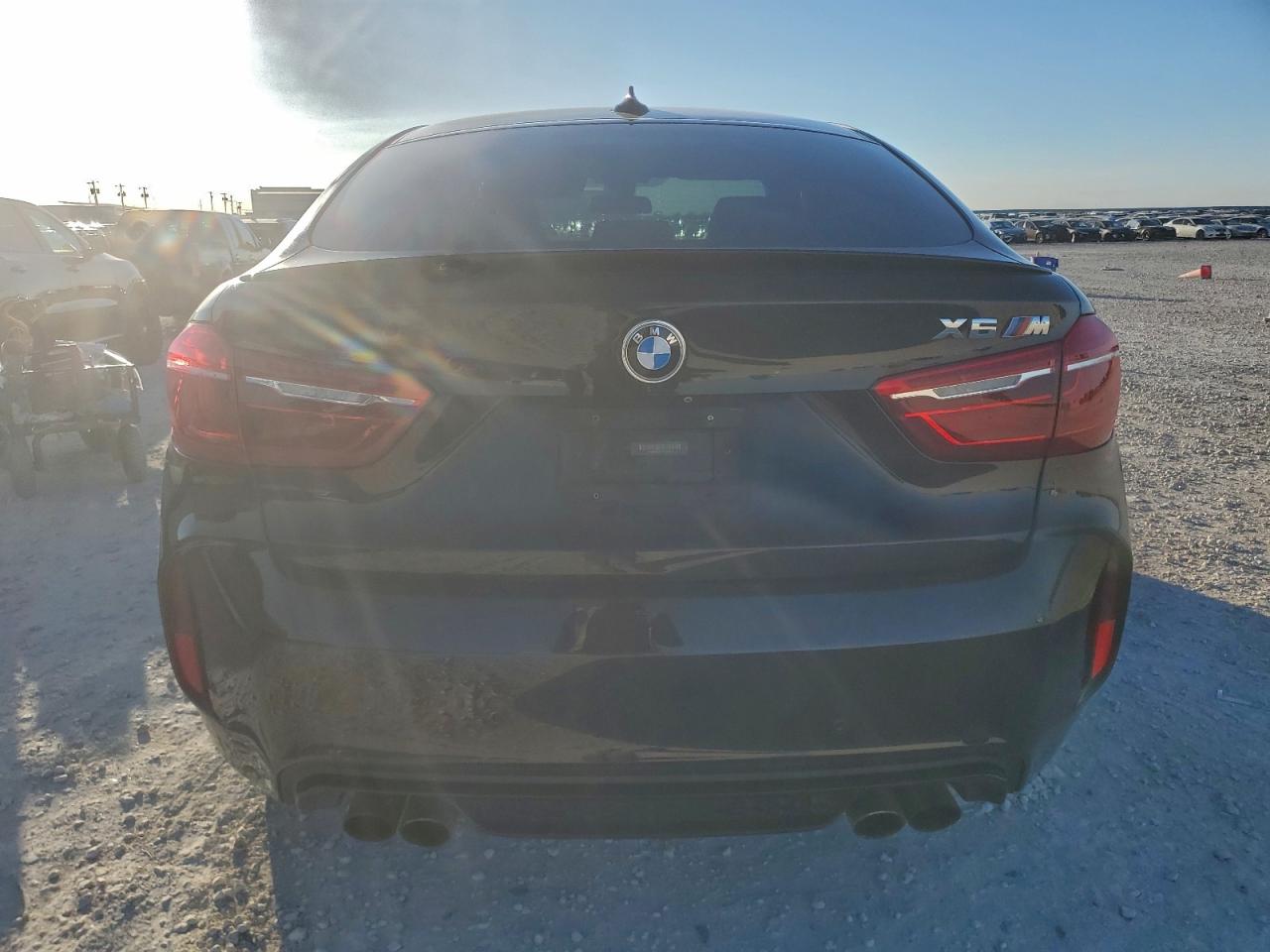 2015 BMW X6 M VIN: 5YMKW8C57F0G93875 Lot: 93639785