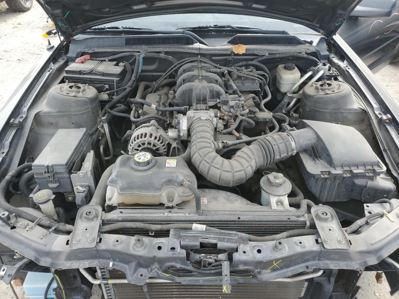 2008 Ford Mustang VIN: 1ZVHT80N085176854 Lot: 93175525