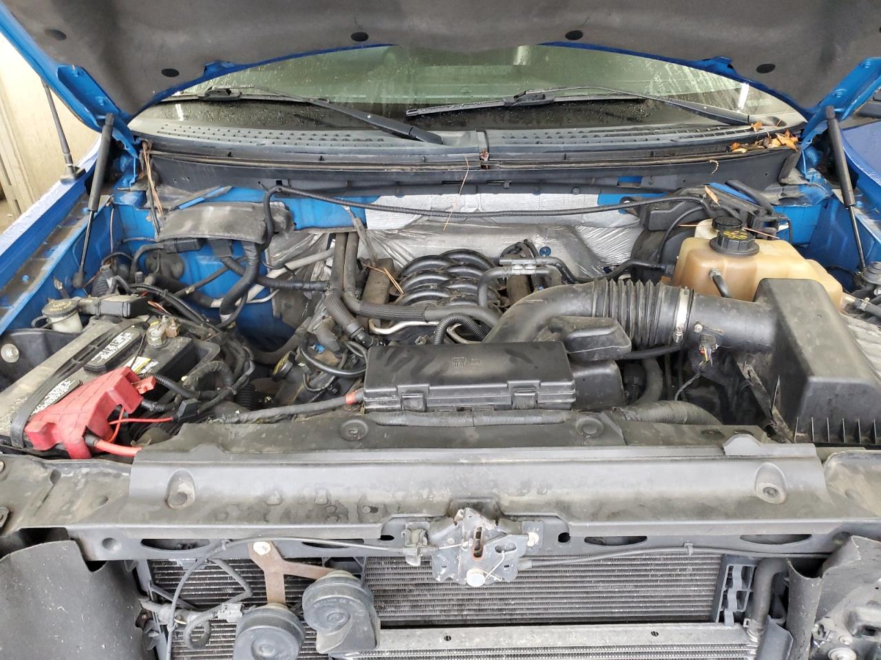 2011 Ford F150 Supercrew VIN: 1FTFW1EF2BFD21999 Lot: 91111535