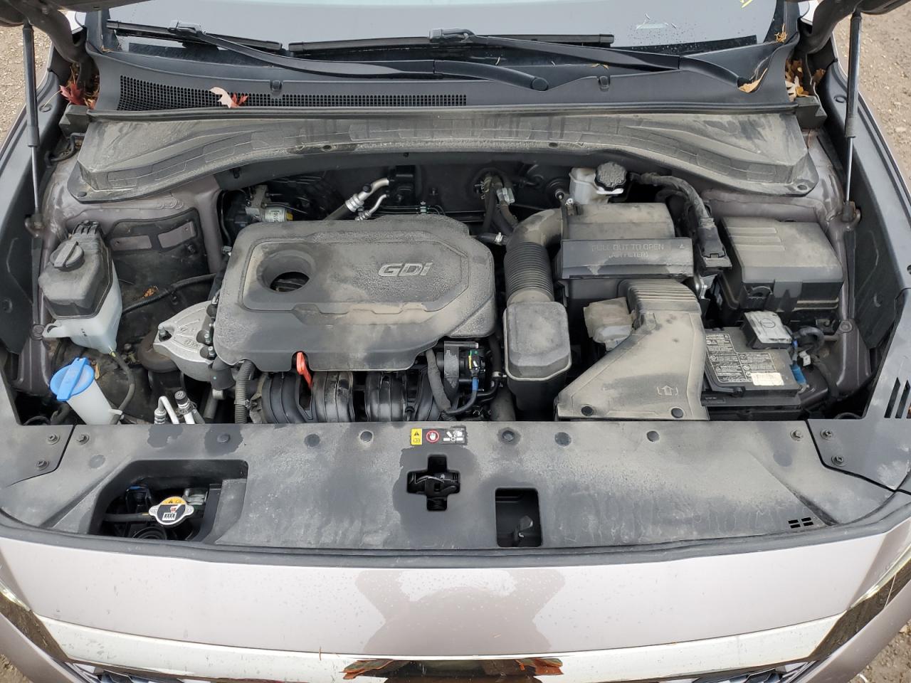 2020 Hyundai Santa Fe Limited VIN: 5NMS5CAD6LH182370 Lot: 92732725