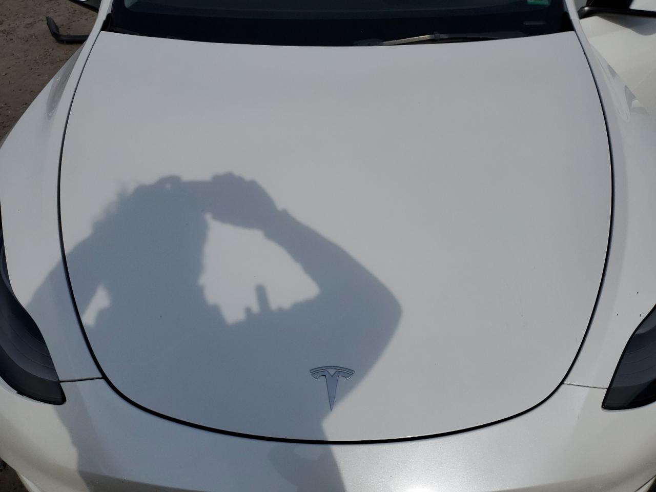 2022 Tesla Model Y VIN: 7SAYGDEF9NF379238 Lot: 93408875