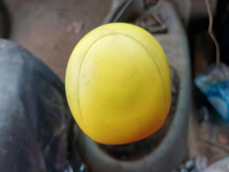 2005 RENAULT KANGOO SL19 DCI 80 4X4+ 