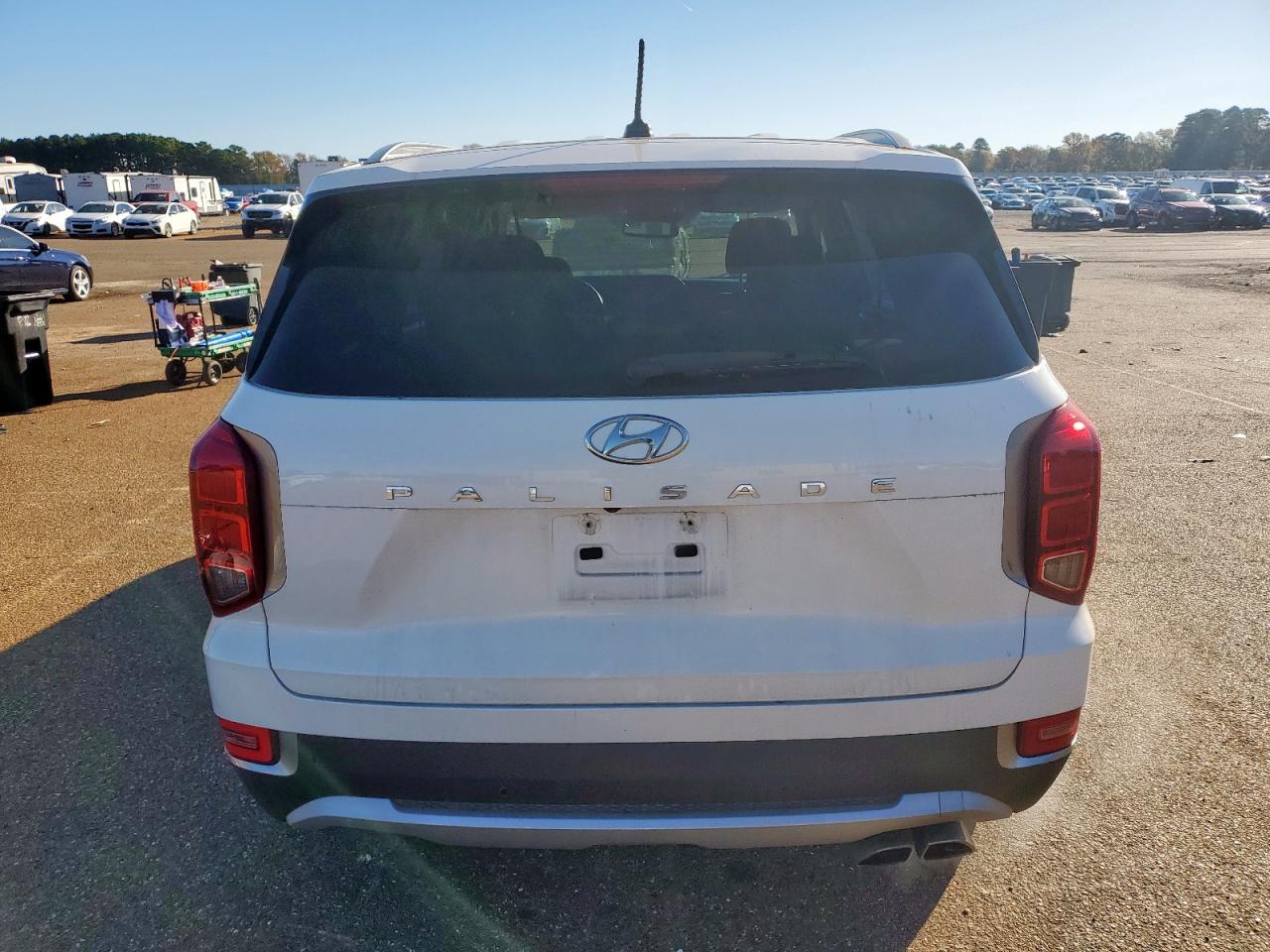 2020 Hyundai Palisade Sel VIN: KM8R24HE6LU049754 Lot: 92014515