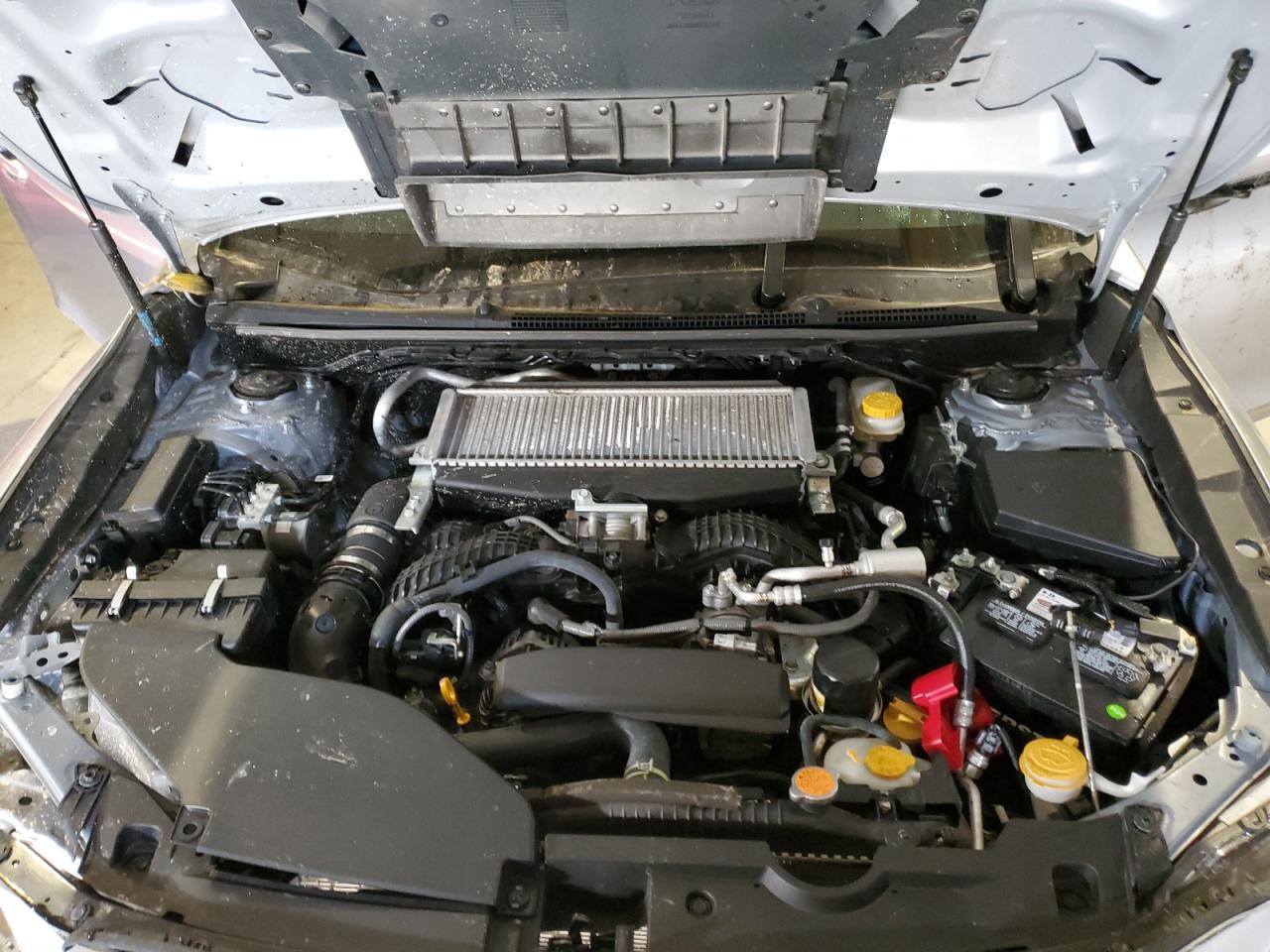 2023 Subaru Wrx Premium VIN: JF1VBAF62P9803566 Lot: 92502925