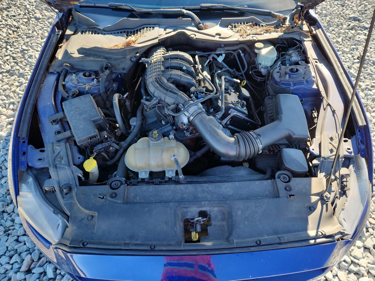 2016 Ford Mustang VIN: 1FA6P8AM5G5270964 Lot: 85394995