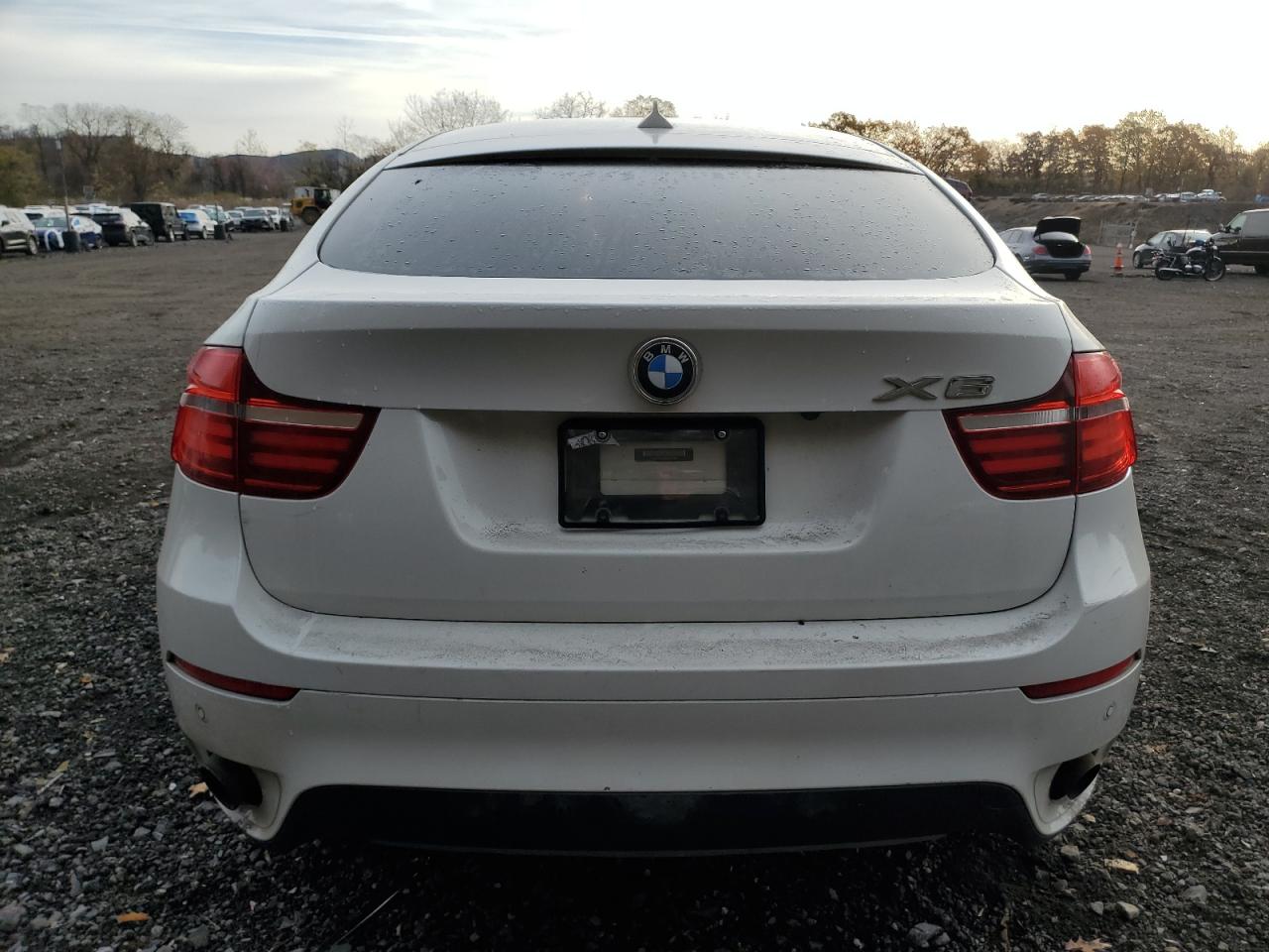 2013 BMW X6 xDrive35I VIN: 5UXFG2C5XDL784781 Lot: 91906015