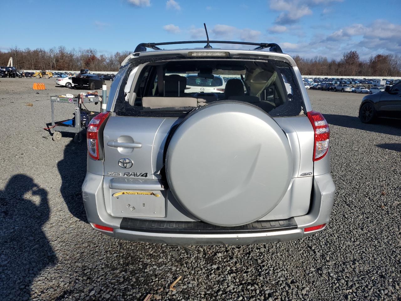 2009 Toyota Rav4 VIN: JTMBF33V895009206 Lot: 93094535