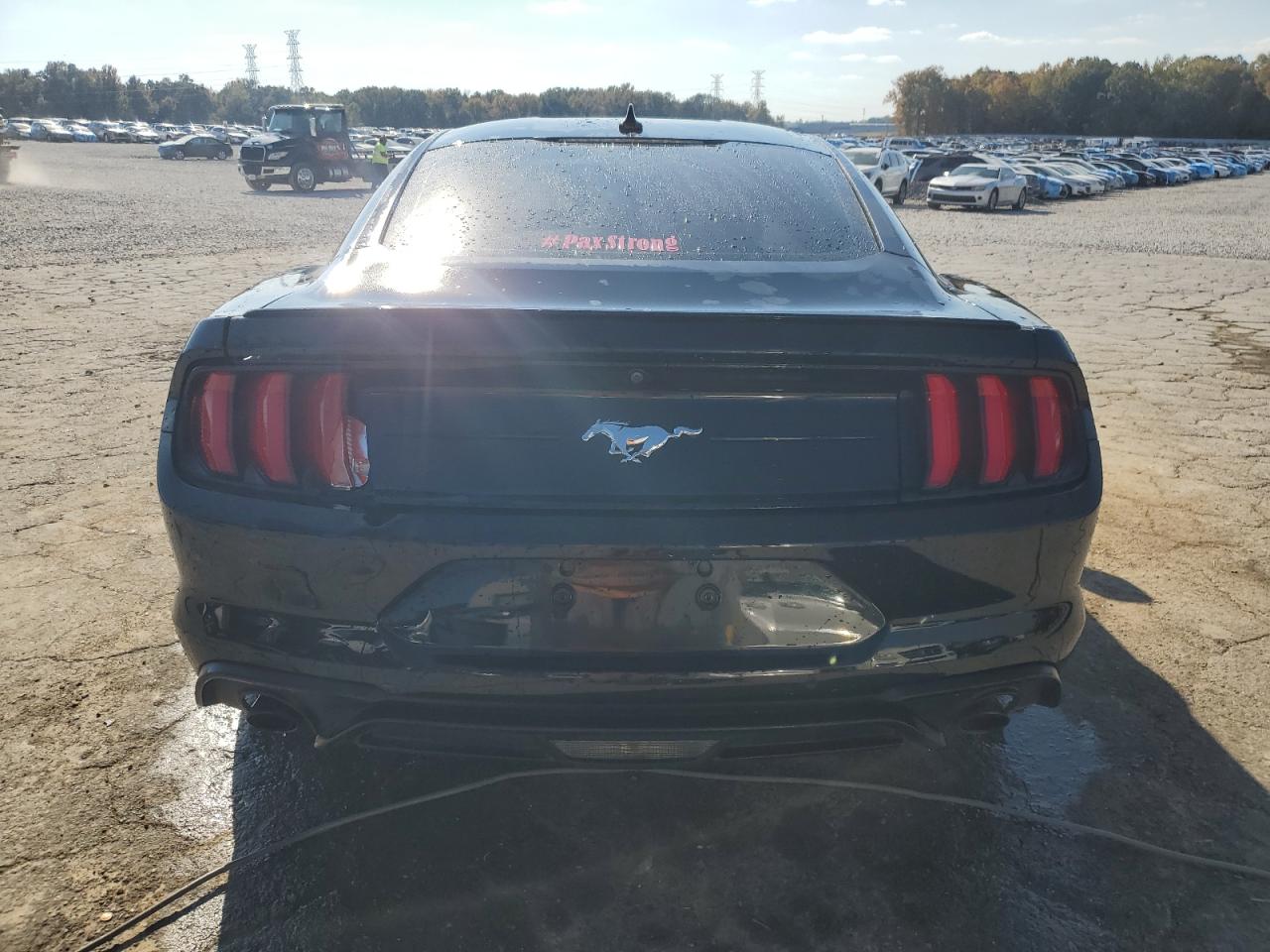 2022 Ford Mustang VIN: 1FA6P8TH5N5101525 Lot: 91706665