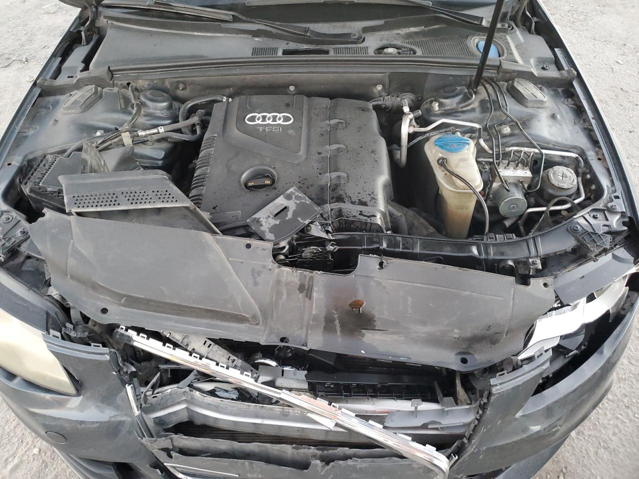 2010 Audi A4 Premium Plus VIN: WAUEFAFL4AN030986 Lot: 92212085