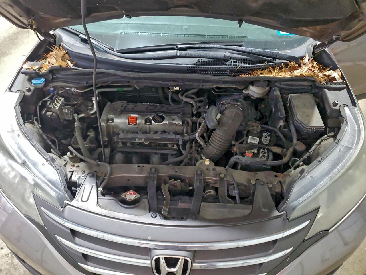 2014 Honda Cr-V Exl VIN: 5J6RM4H7XEL102930 Lot: 93663465