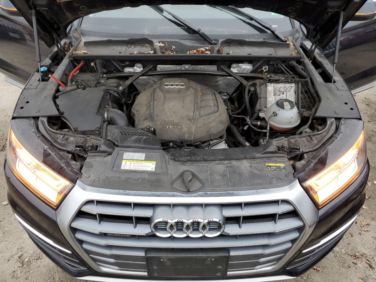 2018 Audi Q5 Premium Plus VIN: WA1BNAFY4J2221615 Lot: 92751105