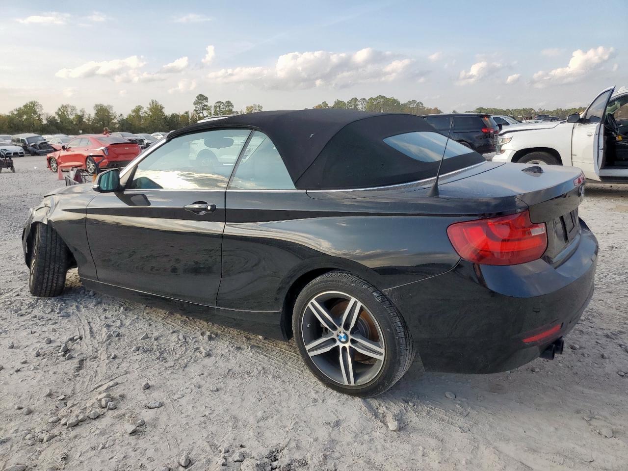 2017 BMW 230I VIN: WBA2K9C3XHV950617 Lot: 93519685