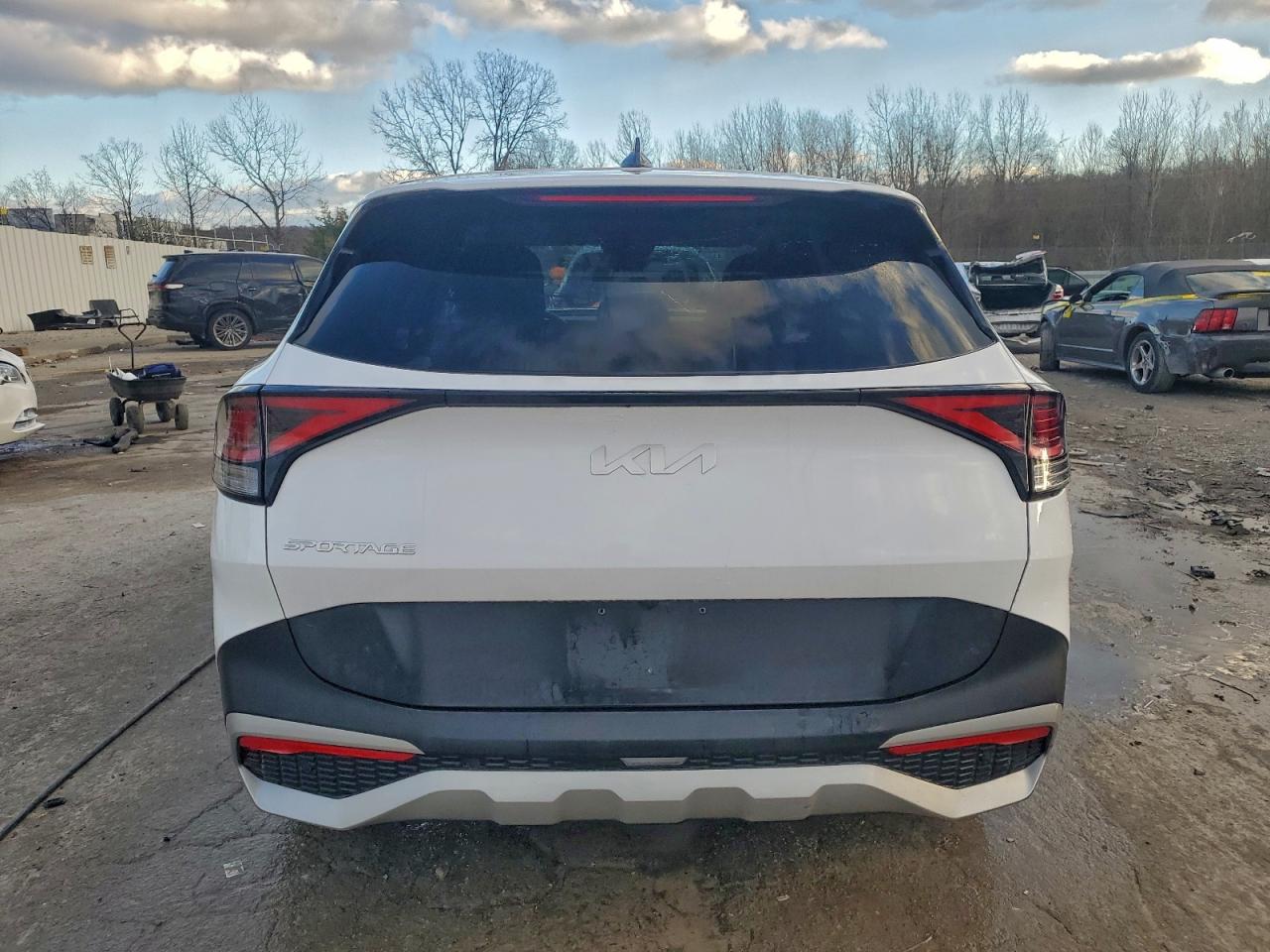 2023 Kia Sportage Ex VIN: 5XYK33AF6PG138408 Lot: 94238205