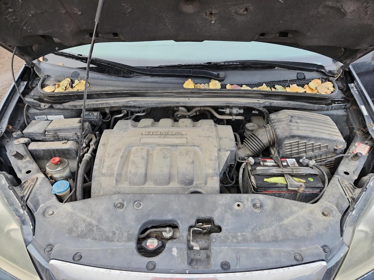 2005 Honda Odyssey Exl VIN: 5FNRL38615B501223 Lot: 93496935