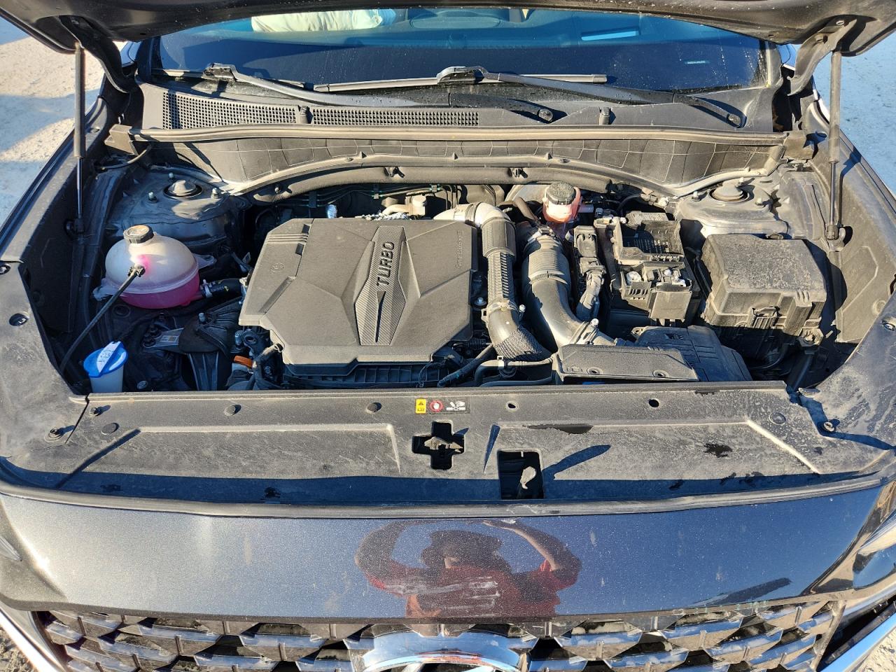 2023 Hyundai Santa Fe Calligraphy VIN: 5NMS5DAL6PH643943 Lot: 93630025