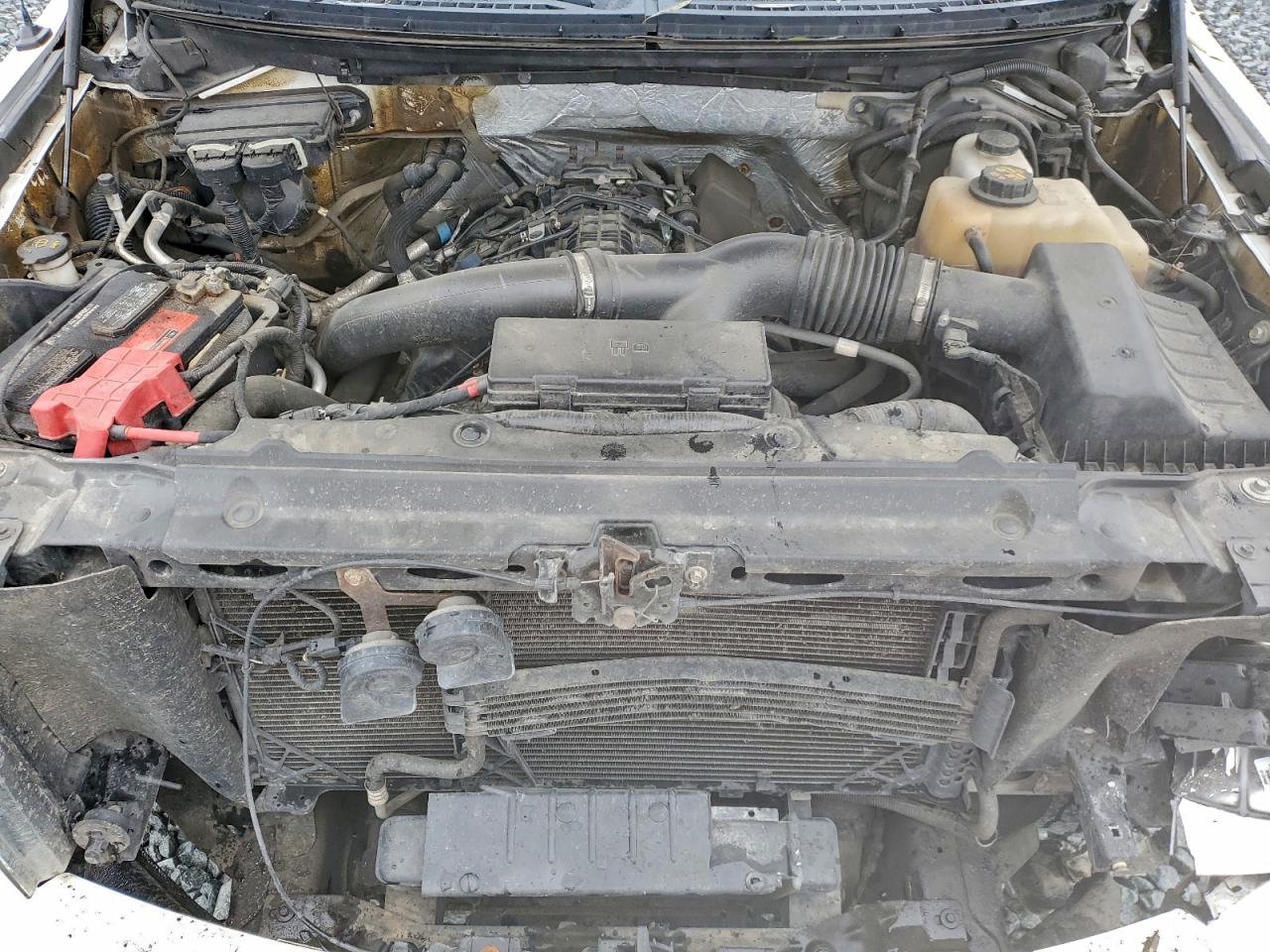 2011 Ford F150 Super Cab VIN: 1FTFX1ET9BFD16267 Lot: 94117255