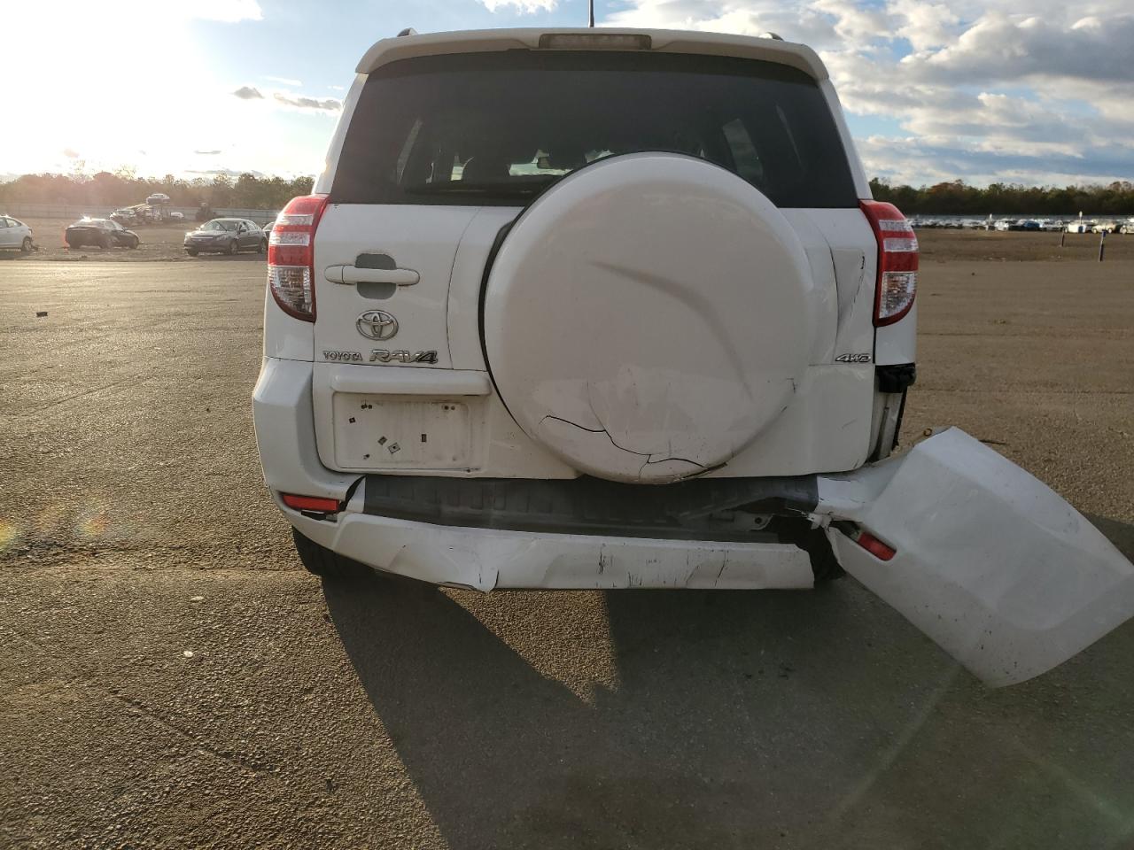 2009 Toyota Rav4 VIN: 2T3BF33V29W006147 Lot: 92599145