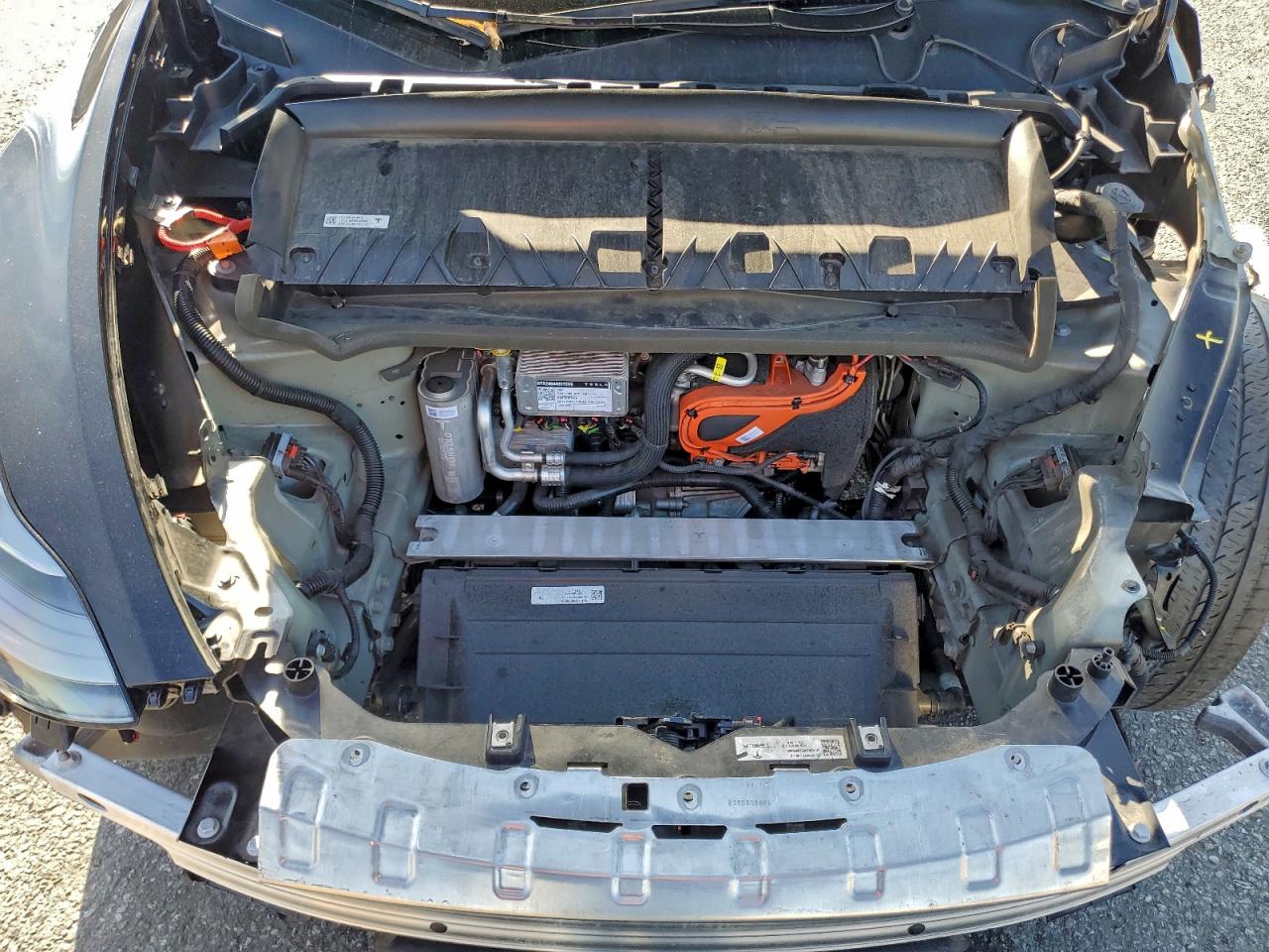 2024 Tesla Model Y VIN: 7SAYGDEE6RA242459 Lot: 93868255