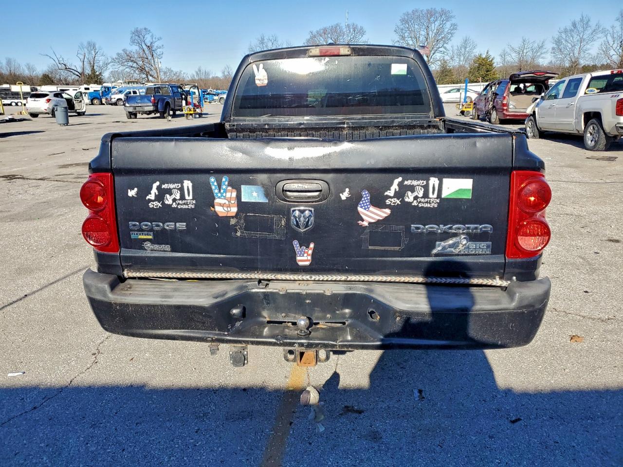 2009 Dodge Dakota Sxt VIN: 1D7HE38P89S810569 Lot: 94330485