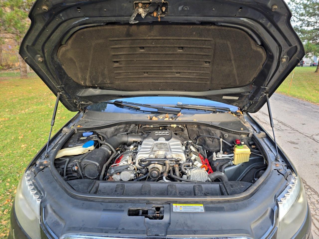 Фото: WA1DGAFE6DD012331