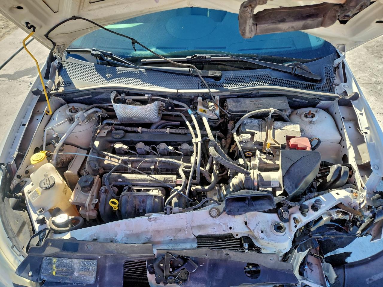 2011 Ford Focus Sel VIN: 1FAHP3HN1BW165898 Lot: 94342275