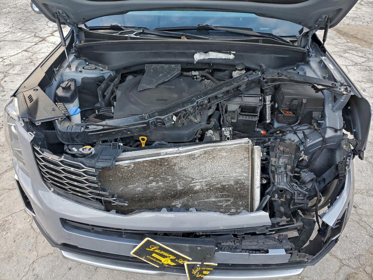 2020 Kia Telluride Ex VIN: 5XYP3DHCXLG013994 Lot: 94318905