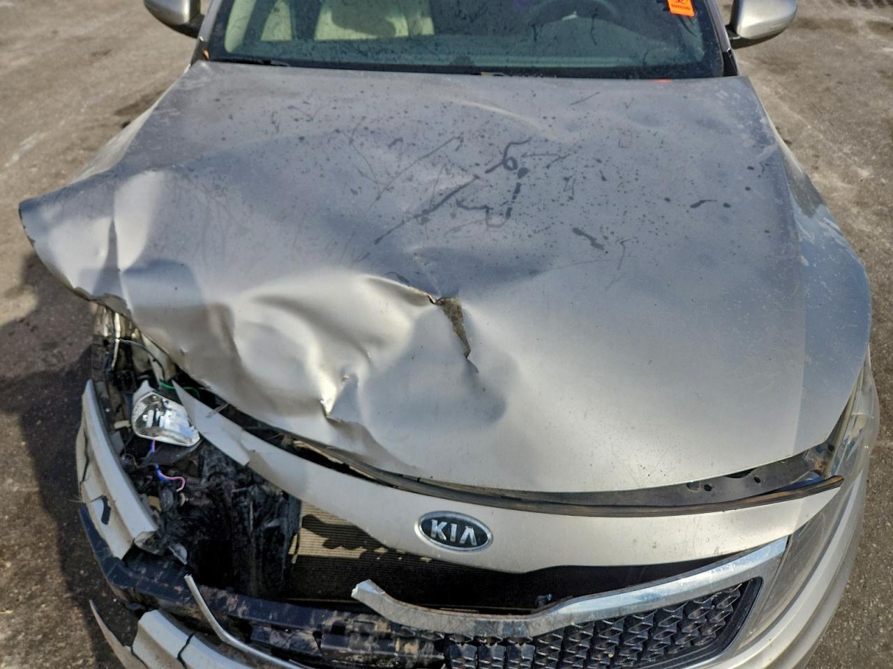 2011 Kia Optima Lx VIN: KNAGM4A71B5084421 Lot: 93985115