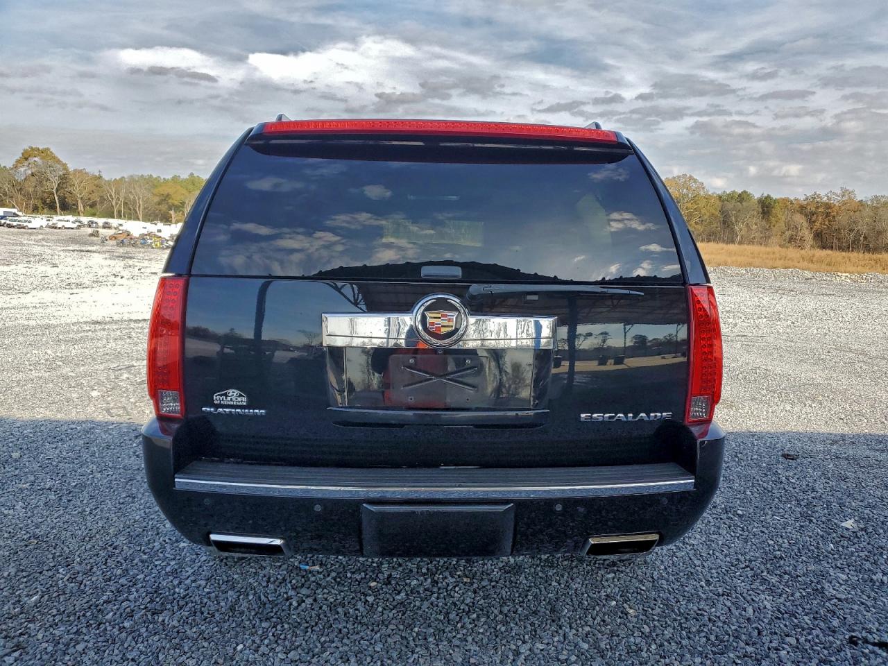 2014 Cadillac Escalade Platinum VIN: 1GYS4DEF9ER155354 Lot: 93805565