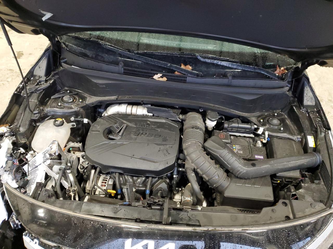 2023 Kia Seltos Sx VIN: KNDETCA24P7453540 Lot: 92979625